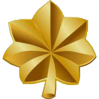 Файл:TGMC Rank MAJ.png