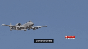 Giphy.gif