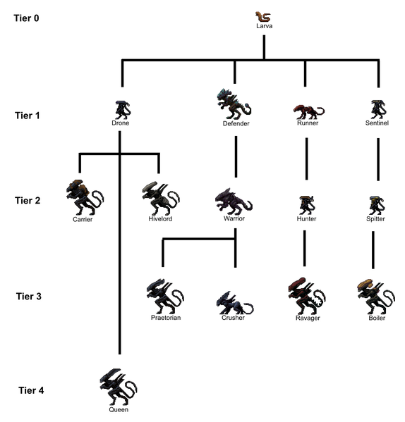 Файл:DMCA Evolution Diagram.png
